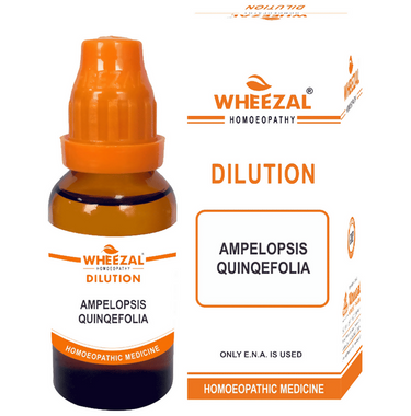 https://cdn.shopify.com/s/files/1/1857/6931/files/b5tYFUlowH.png?v=1725366231
